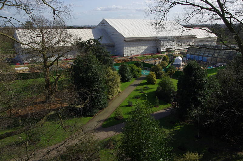 The Temperate House, closed for restoration