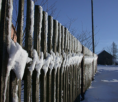 Frosty Fence Friday