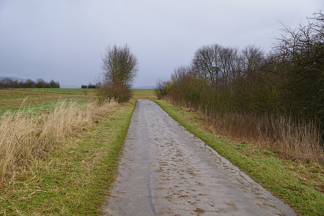 Ein Regentag II