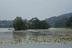 Carlingwark Loch