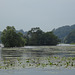 Carlingwark Loch