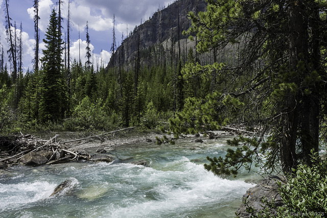 am Tokumm Creek beim Marble Canyon (© Buelipix)