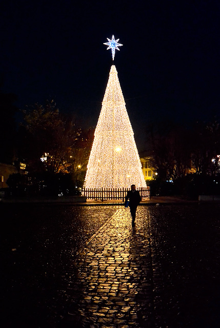 Albero di Natale 2015 in piazza del popolo