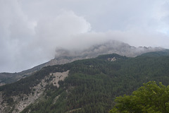 DSC 0629
