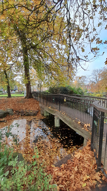 Autumn HFF from Skegness