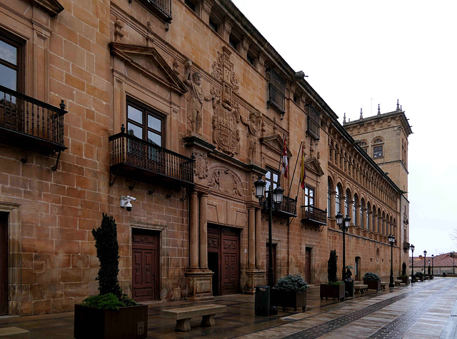 Soria - Palacio de los Condes de Gomara