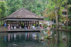 Pura Gunung Kawi inside pool