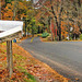 New England Road