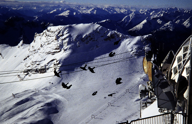 Zugspitze