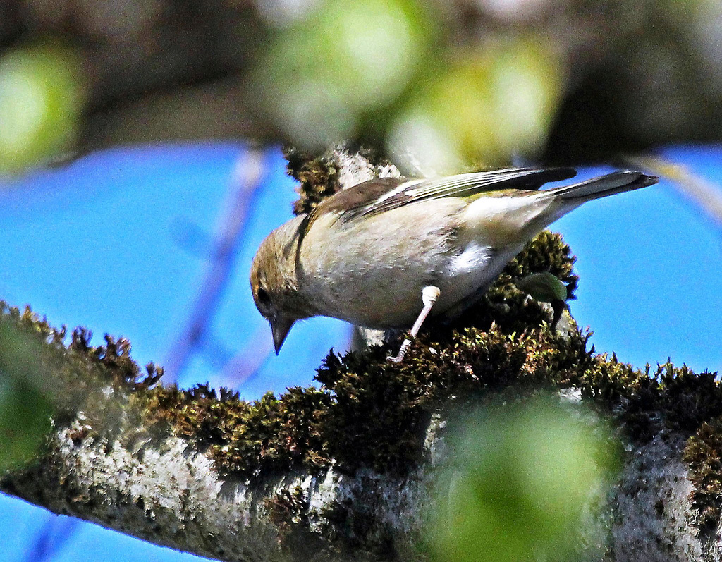 Was hat er wohl entdeckt ?