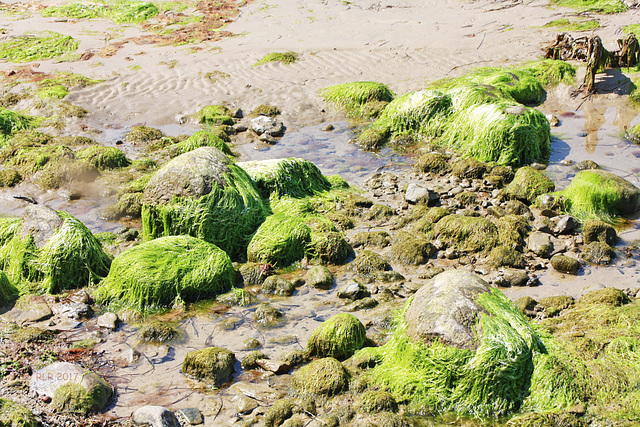 Poel, Strand