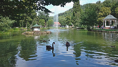 Kurparksee Bad Liebenzell