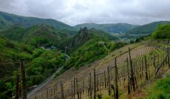 DE - Altenahr - Blick zurück zur Burgruine