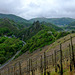 DE - Altenahr - Blick zurück zur Burgruine