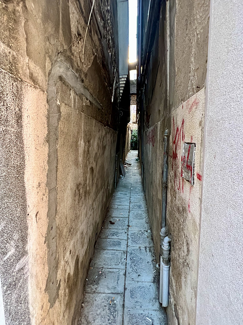 Venice 2022 – Alley