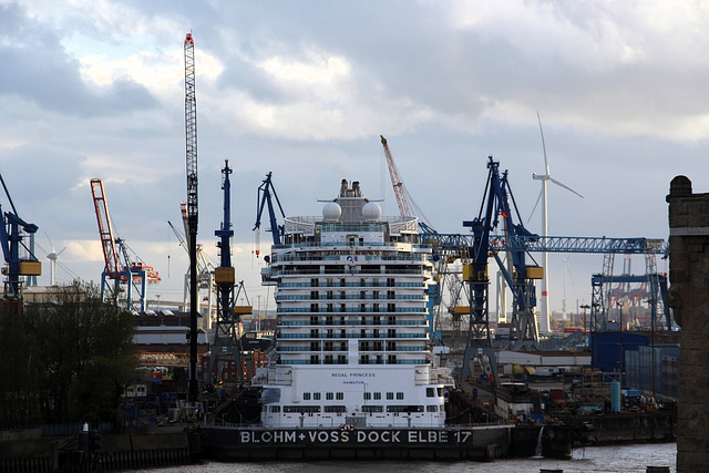 Regal Princess im Dock