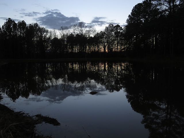 Reflections at dusk