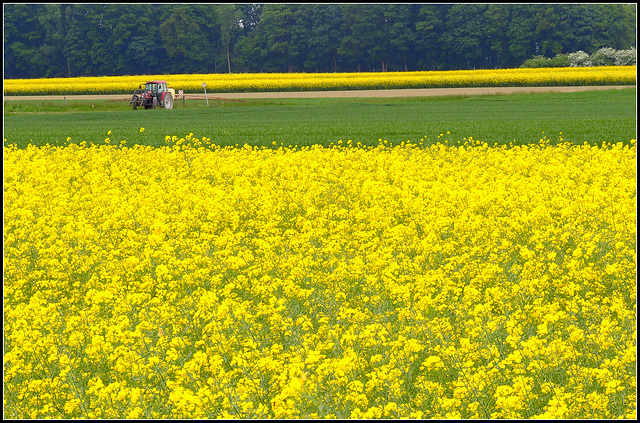 Red Tractor