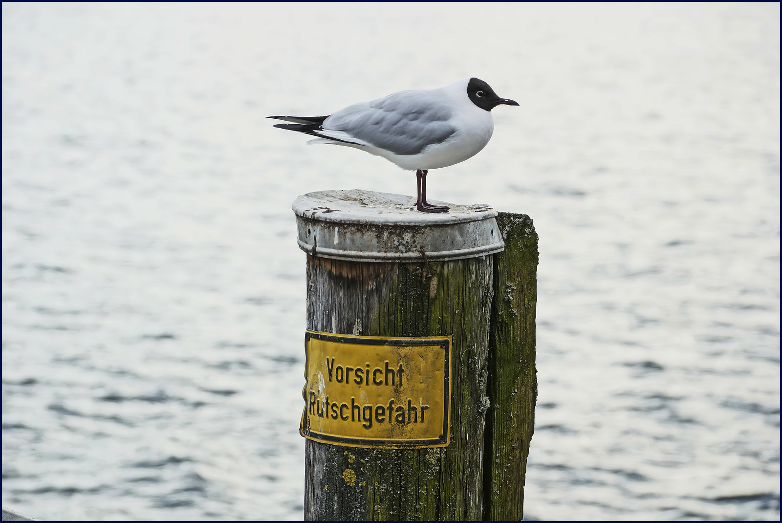 Gruß vom Bodensee:)