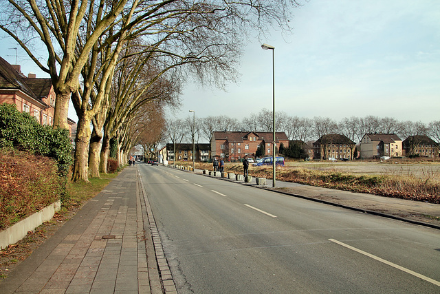 Warbruckstraße (Duisburg-Marxloh) / 17.02.2018