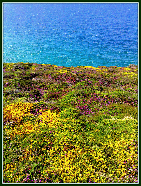 Above Basset Cove