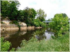 Reflets à Saint Léon sur Vézère (24)