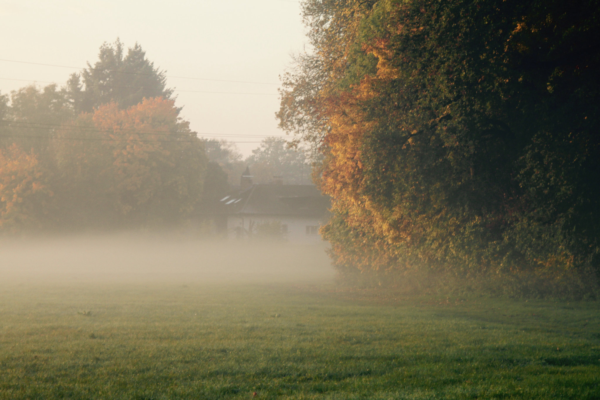 Autumn Mist