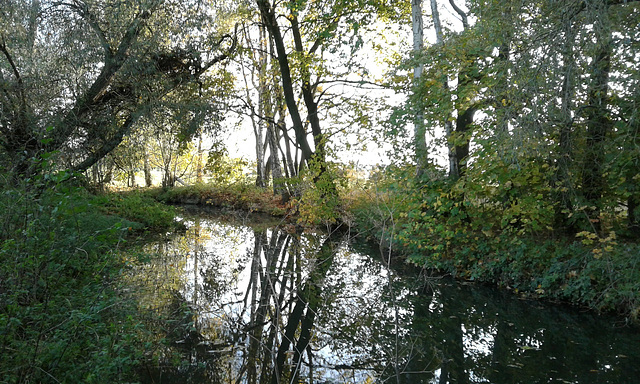 Die Wyhra bei Frohburg.