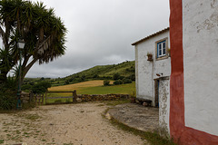 Mata Pequena, Portugal