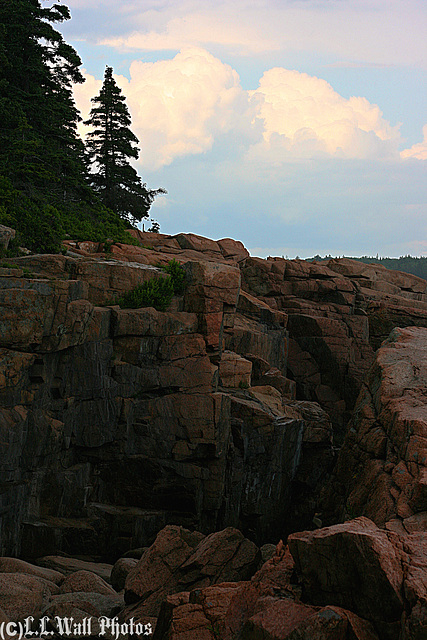 Atop Acadia Cliffs