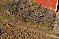 Funchal Madeira