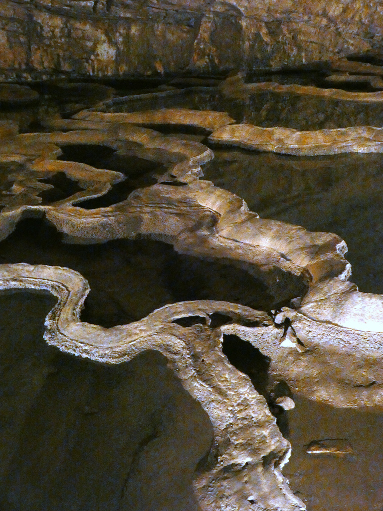 Vjetrenica Caves