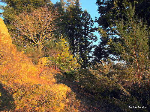 Sunset at Glenkill Park.