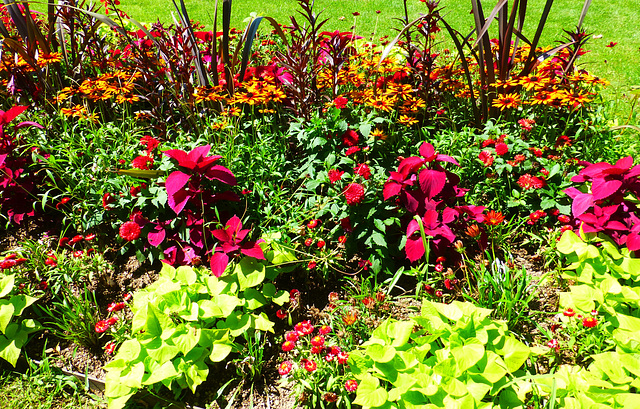 DE - Koblenz - Im Garten von St. Kastor