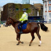 England 2016 – London – Brown horses go to the police