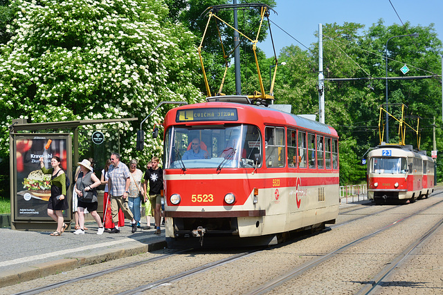 Prague 2019 – DPP Tatra T3 5523