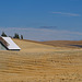 Barn Emerging