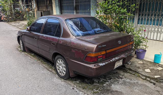 Toyota Corolla légèrement écaillée (1)