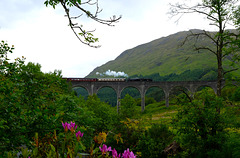 The Jacobite steam train (Hogwarts Express) passing over the Glenfinnan Viaduct.