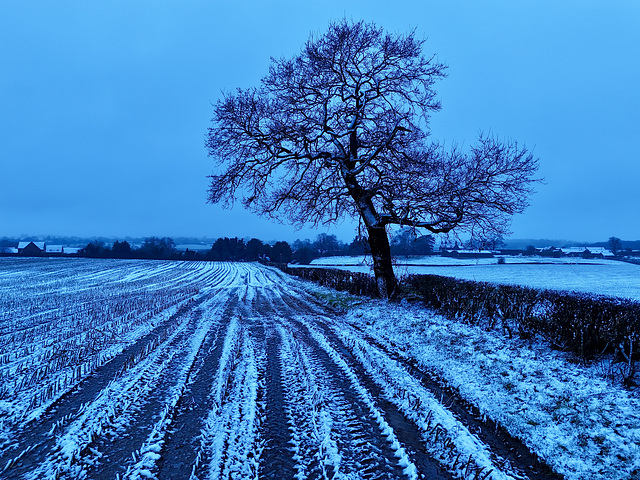 First snow of 2025