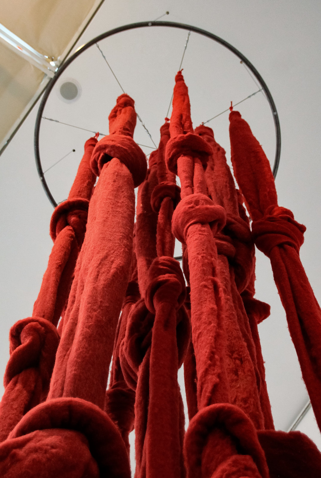 Talking Knots