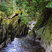 Waterfall walk The narrows