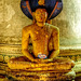 Sri Lanka tour - the fifth day, Dambulla cave temple, UNESCO World Heritage