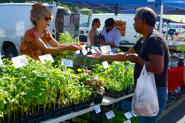 In addition to produce, garden plants are sold