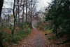 Weg im Schellenberger Wald (Essen-Stadtwald) / 1.12.2019