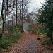 Weg im Schellenberger Wald (Essen-Stadtwald) / 1.12.2019