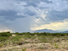 Rain On The Rincon Mountains