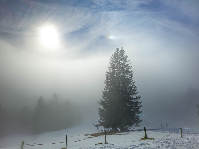 Neureuth 1210 m - sun breaks