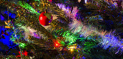 Christmas Tree 31-Dec-2015 04
