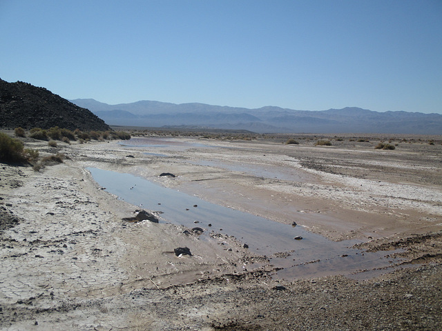 Cerro Gordo 50